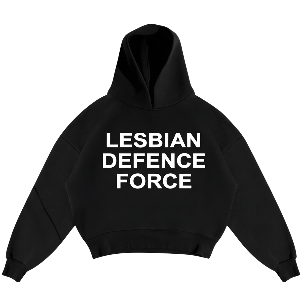 LESBIANS DEFENSE FORCE HOODIE